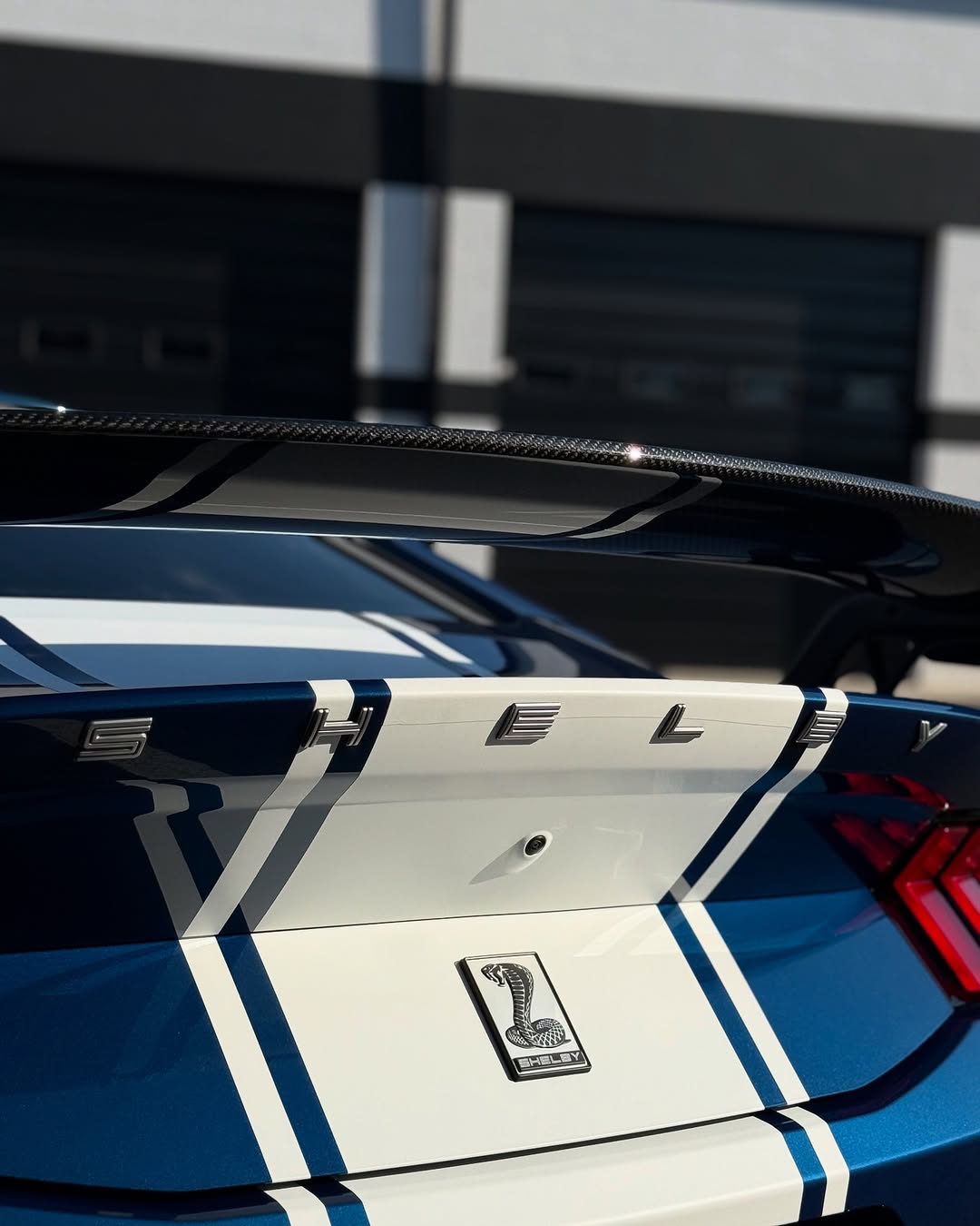 Protective Film Solution work